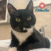 Othello