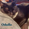 Othello