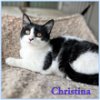 Christina - dog and cat friendly sweetie!
