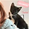 Claudia and Claribel