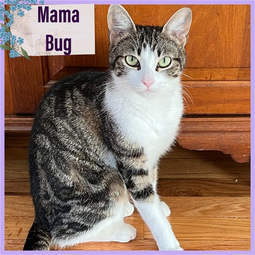 Mama, June, Lady bug