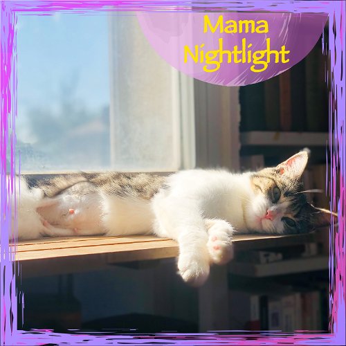 Mama Nightlight and her Kitten Starlight !
