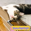 Mama Nightlight and her Kitten Starlight !