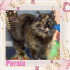 Persia