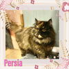 Persia