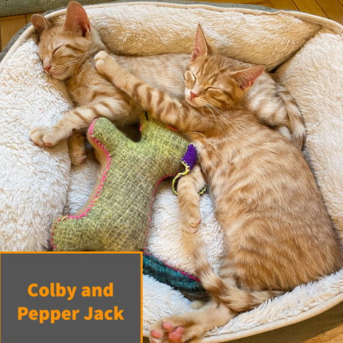 Colby and Pepper Jack