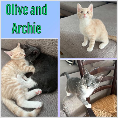 Olive and Archie