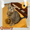 Quincy