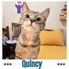 Quincy