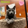 Hunni- sweet and affectionate