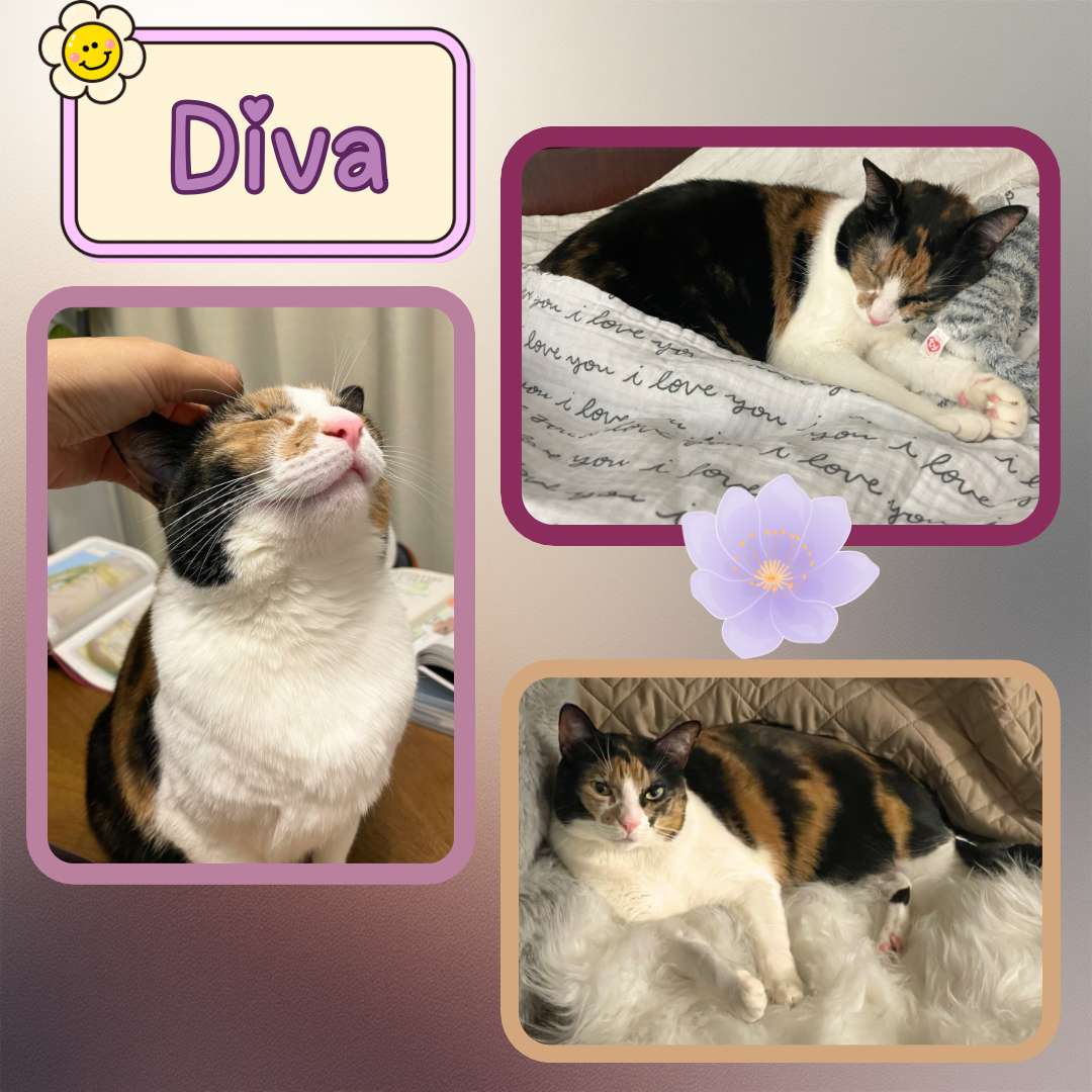 Diva