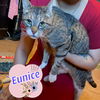 Eunice