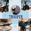 “Trooper “of the Paw Patrol Litter!