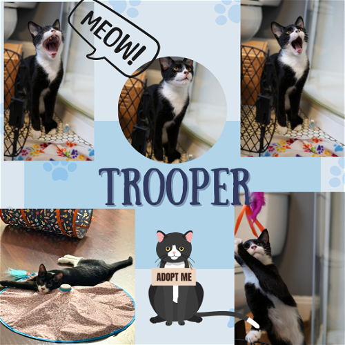 “Trooper “of the Paw Patrol Litter!