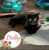 Pawly and Dolly a bonded duo!