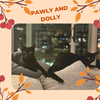 Pawly and Dolly a bonded duo!