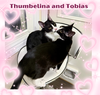 Thumbelina and Tobias - Polydactyl duo!