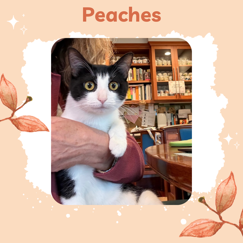 Peaches