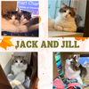 Jack and Jill