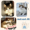 Jack and Jill