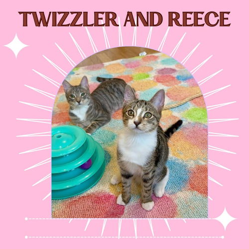 The Hershey Kisses - Twizzler and Reese left!