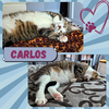 Carlos