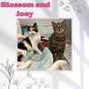 Blossom and Joey - a 90’s sitcom kitten duo!