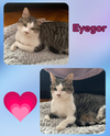 Eyegor - a blind ,affectionate and resilient boy!