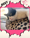 Roxy