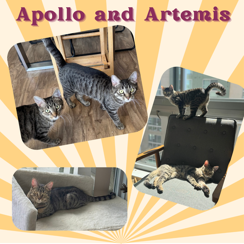 Apollo and Artemis