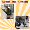 Apollo and Artemis