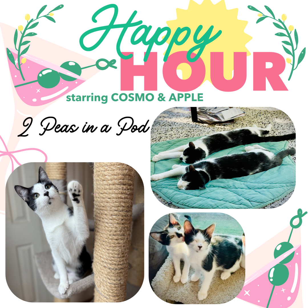 Cosmo and Appletini