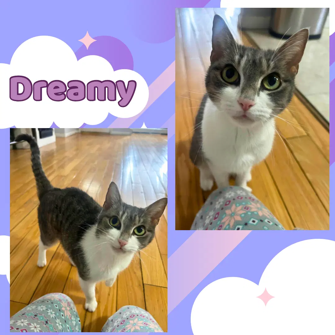 Dreamy image 2