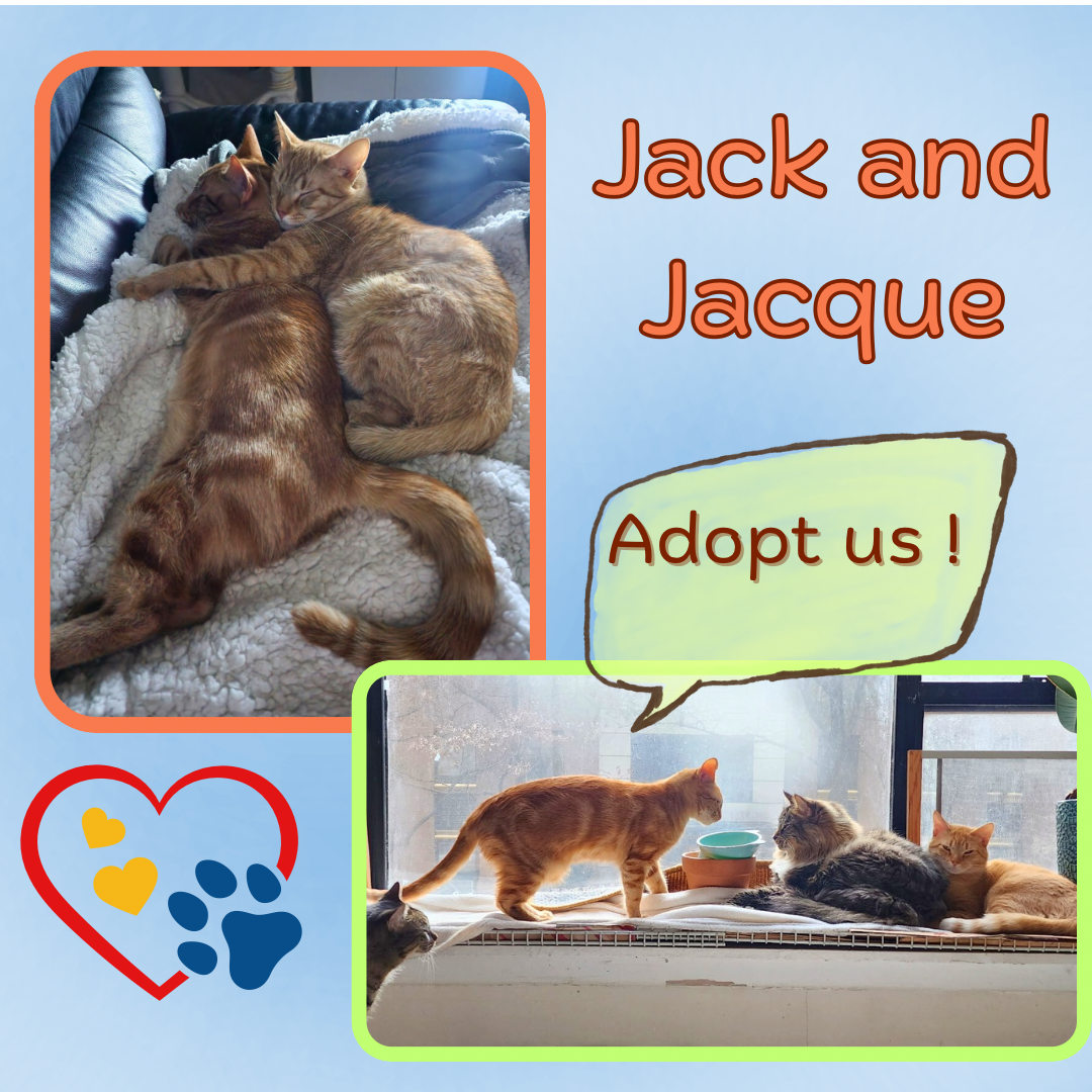 Jack and Jacque Image