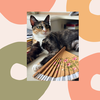 Peggy Sue