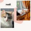 Nadi and Nadine - bonded siblings