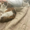 Nadi and Nadine - bonded siblings