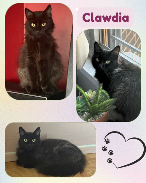 Clawdia