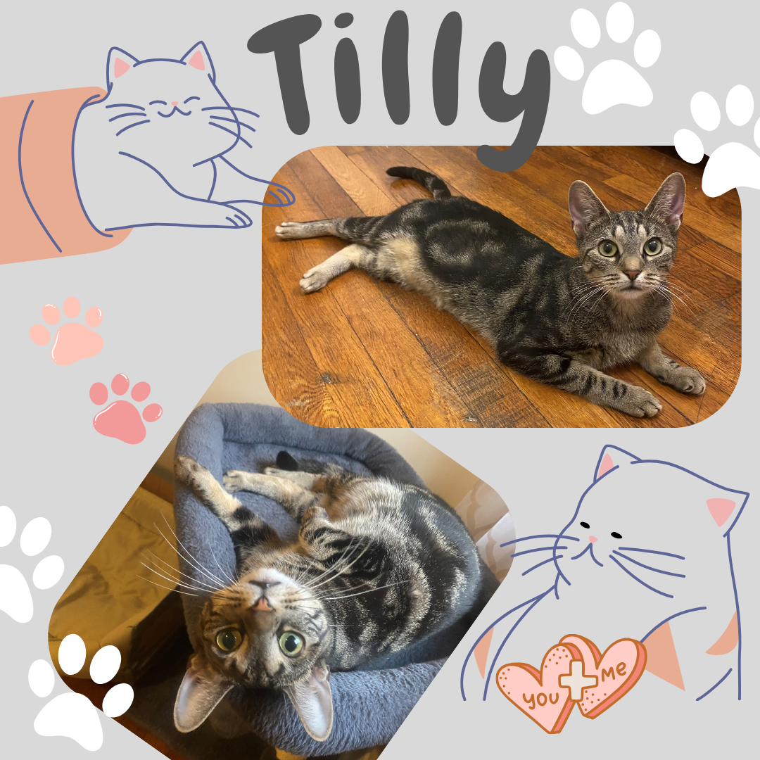 Tilly