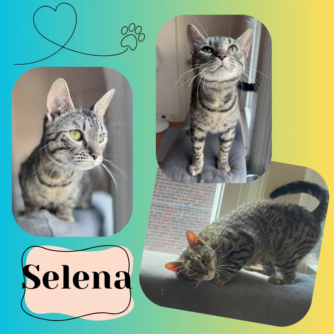 Selena image 2