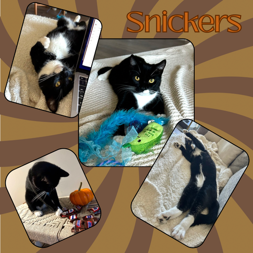 Snickers