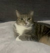 Bunny - Photo 9