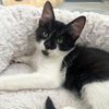 Sally and Zero