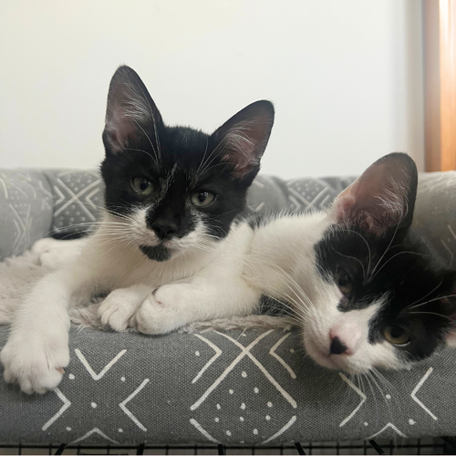 Sally and Ruby