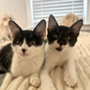 Sally and Ruby