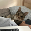 Bitsy