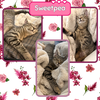 Sweetpea