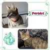 Pyrite and Peridot