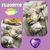 Fluorite of the “Purring Gemstones”