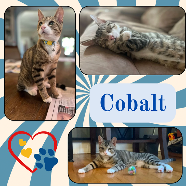 Cobalt